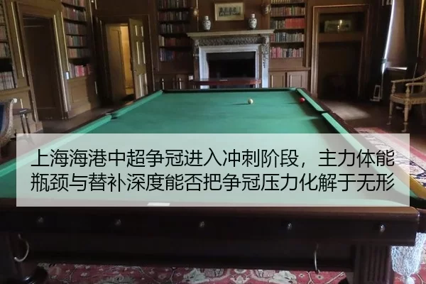 shang-hai-hai-gang-zhong-chao-zheng-guan-jin-ru-chong-ci-jie-duan-zhu-li-ti-neng-ping-jing-yu-ti-bu-shen-du-neng-fou-ba-2-691.jpg